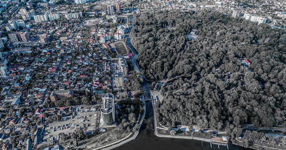 ������ ����������� ������� �������� � ����������� �������� �������