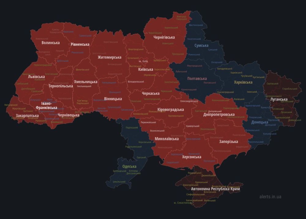 ��� ���� �������� ������ ��������� �������