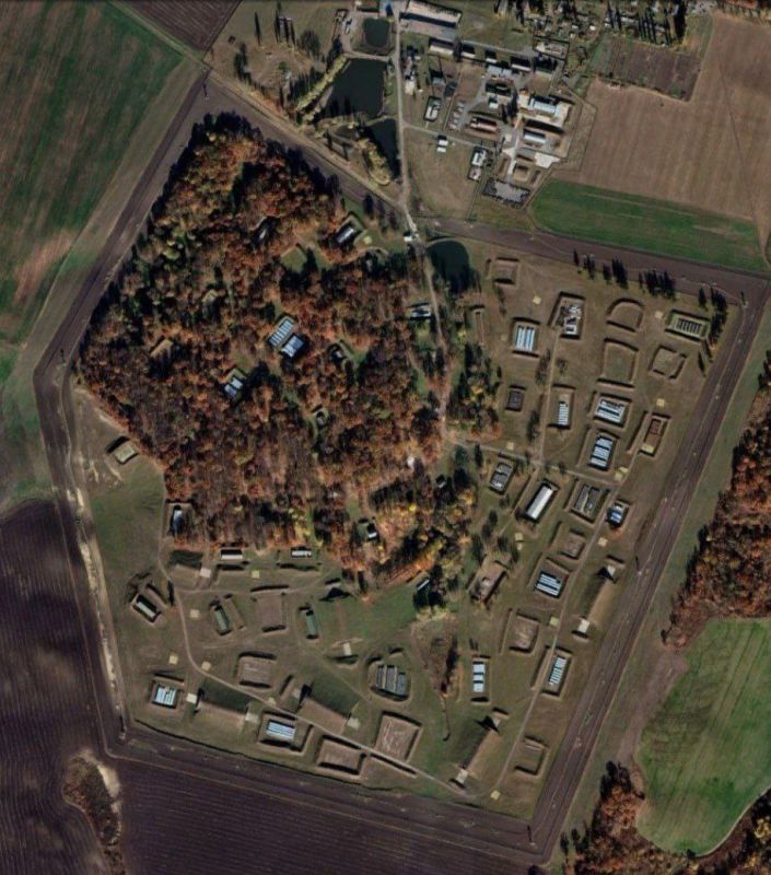 ����� �����: ���� ������ �����������