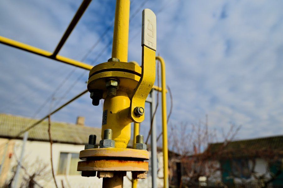 ��������: ���������� ����