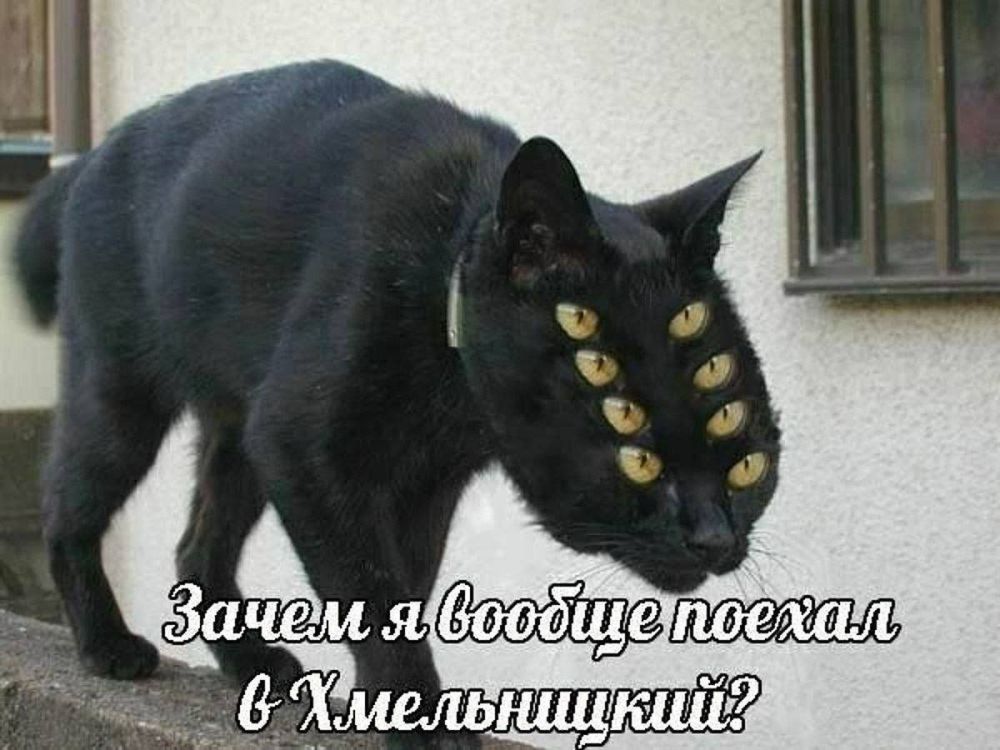 ����������� - ������ ���������