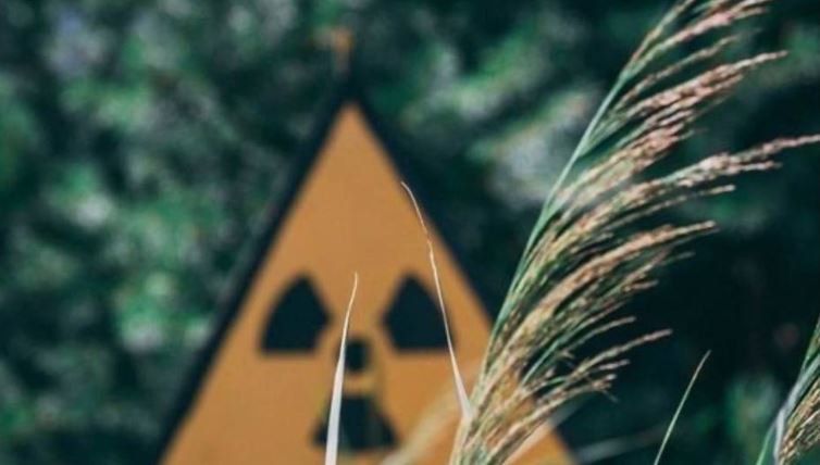 �� ������� ������ ������������� ������ �������� � �������