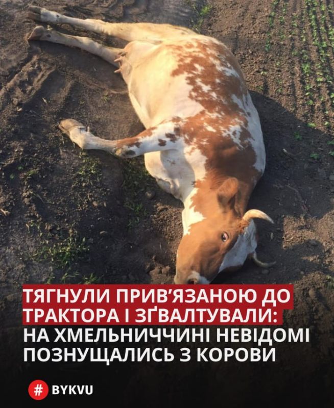 ������ ����������� � �������� � ������������: � ����������� ������� ����������� ������������ ��� �������