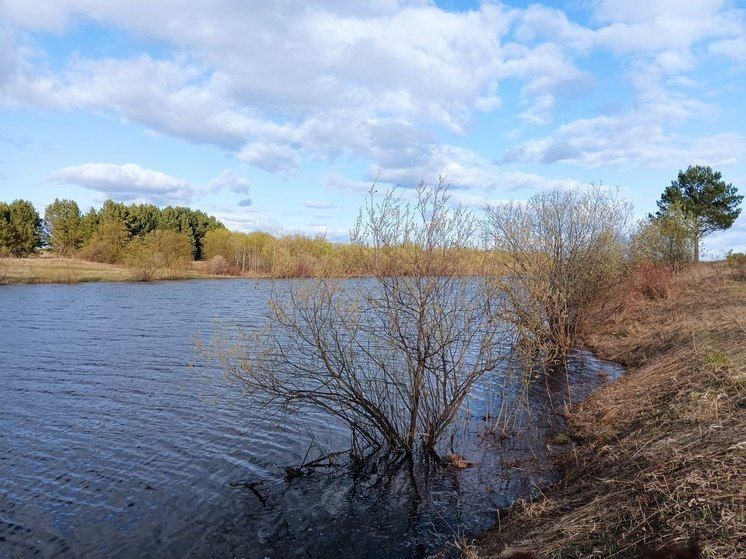 �������� ���� ������ �������� ��������� ����������� ������ �� ������ �������� � ������ ���������