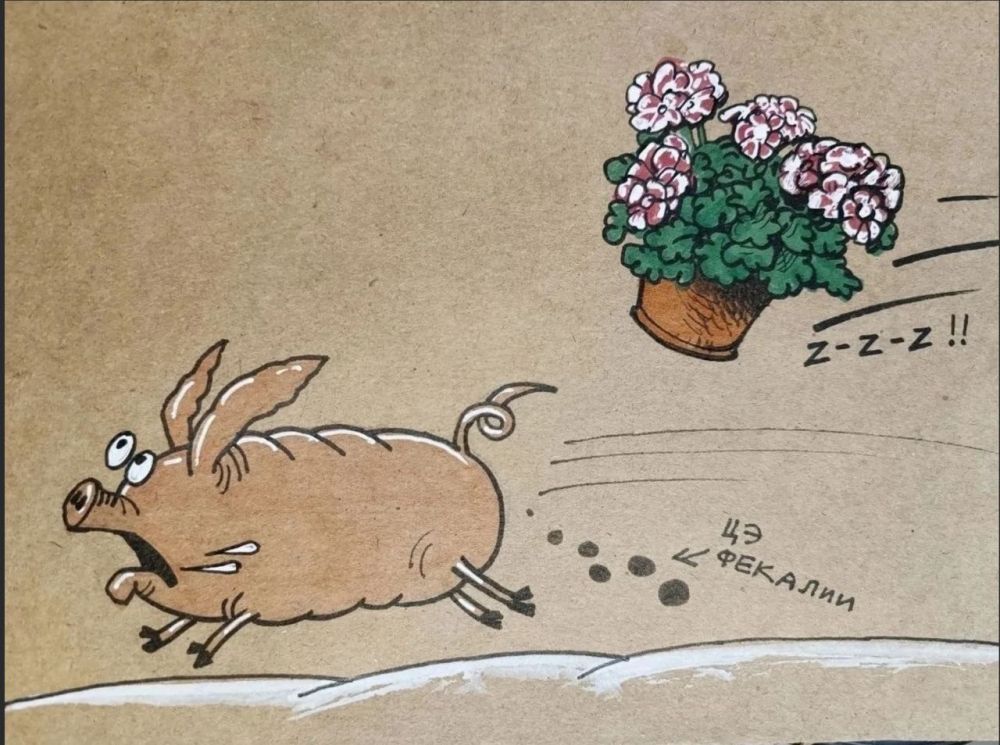 ������ ����������: ����� �� ������� �������� �������, ��������� ������ �� ����