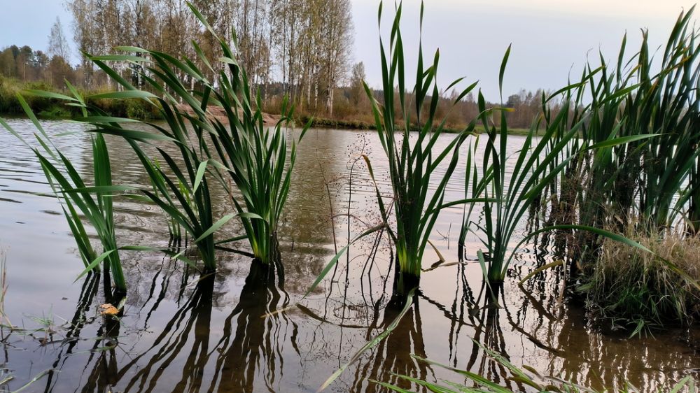 "������ ���� ��� ������ ��������": �� ������� ������� ������� �� ��������� � ������� ����