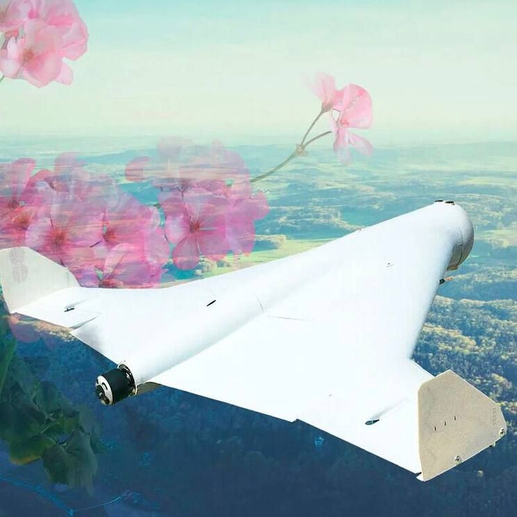 ������ �������� ������� ��������