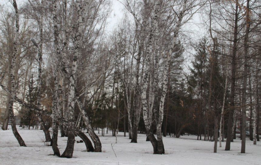 ����� ������, �������� ������� �����: ��������� �� �� �� �����