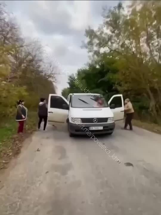  :          .            ,             ...