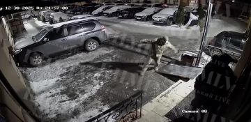 Ƹ����� ����������� � �����������: �������� ������� �������, ������� ������ �� ��� � �������� ������� � �������