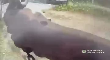 ����������� �������.. ����� �� �������� ������ ����� �� ��������